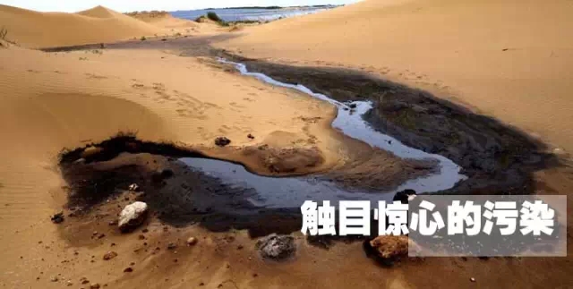 龍盛集團(tuán)被起訴？染料巨頭真的攤上大事了！！莊杰化工，189-2893-9081