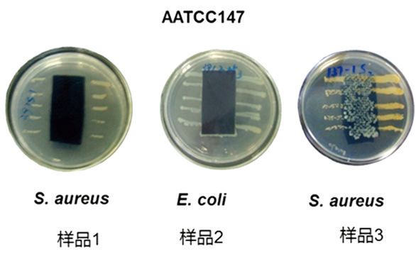 圖1  AATCC 147測試結(jié)果